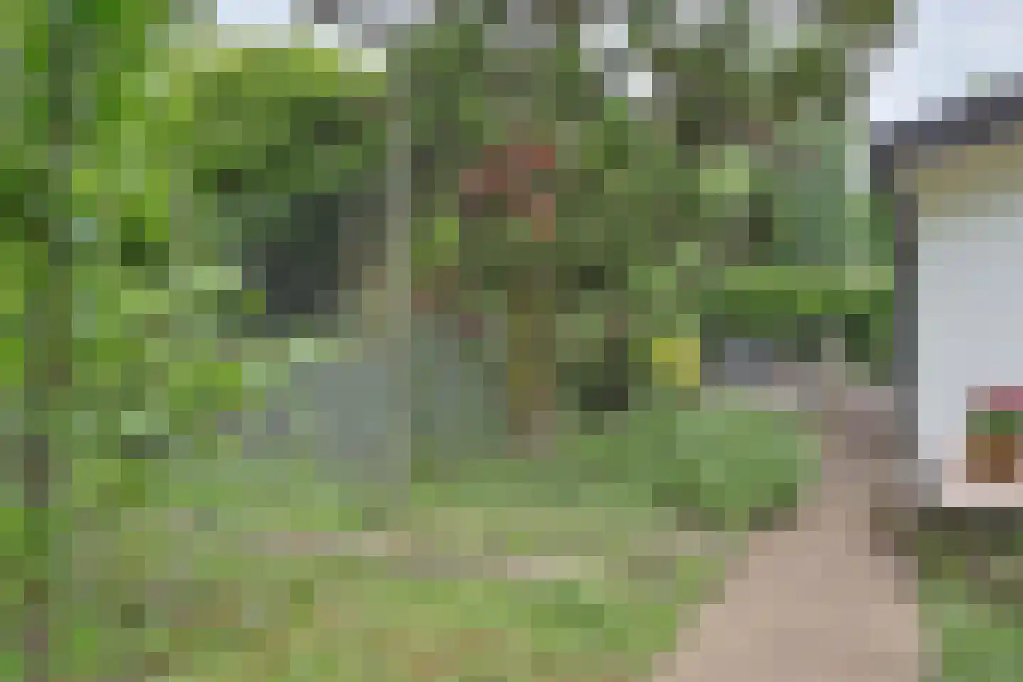 Dennendreef 5 258 Boxtel thumbnail 30