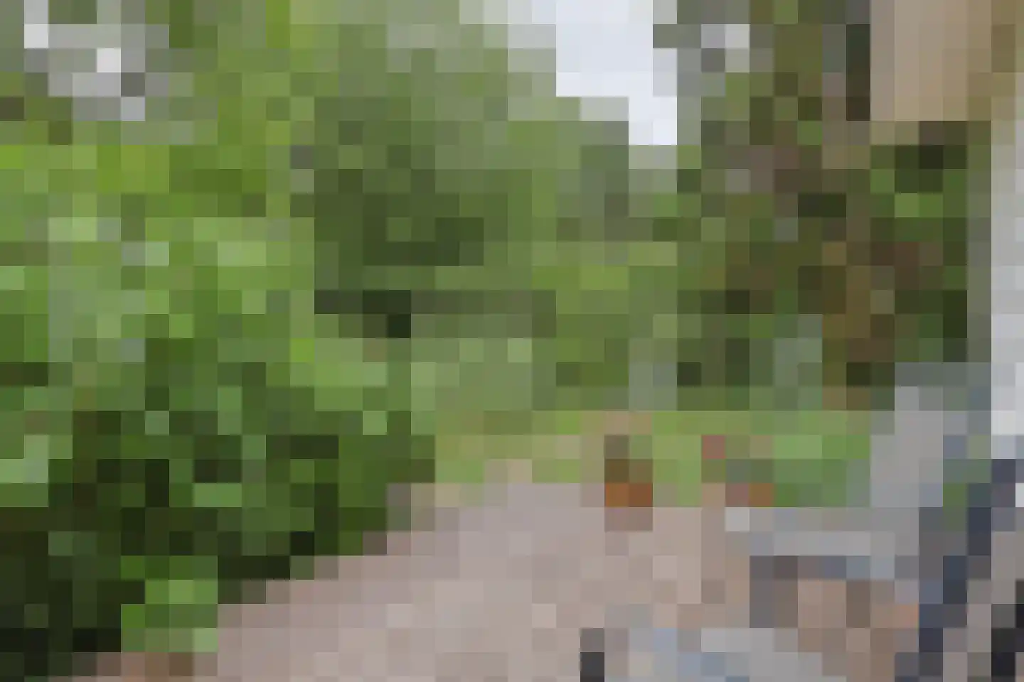 Dennendreef 5 258 Boxtel thumbnail 33