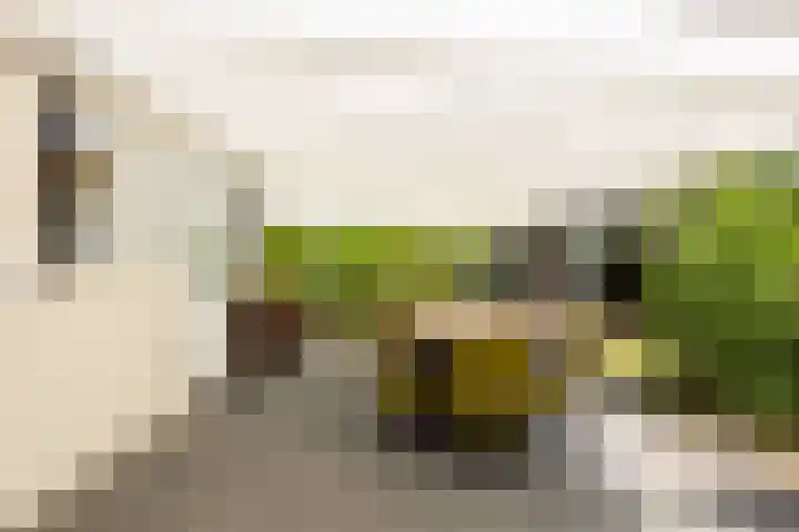 Dennendreef 5 266 Boxtel thumbnail 11