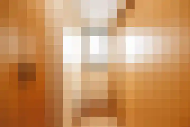 Dennendreef 5 266 Boxtel thumbnail 35