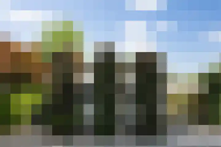 Dennendreef 5 266 Boxtel thumbnail 37