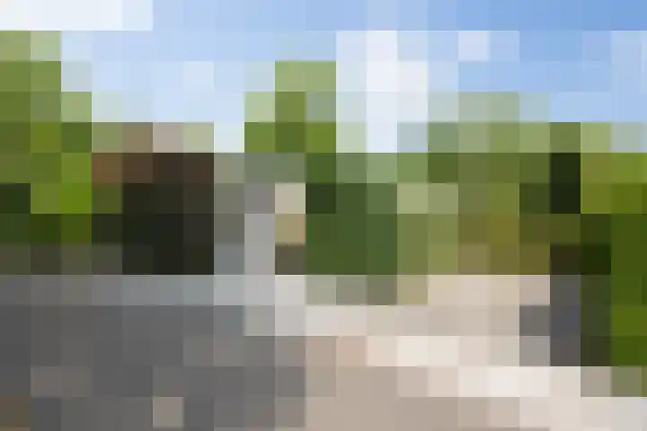 Dennendreef 5 266 Boxtel thumbnail 39