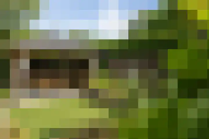 Dennendreef 5 266 Boxtel thumbnail 4