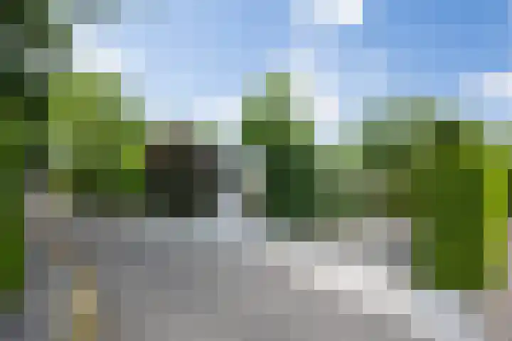 Dennendreef 5 266 Boxtel thumbnail 40