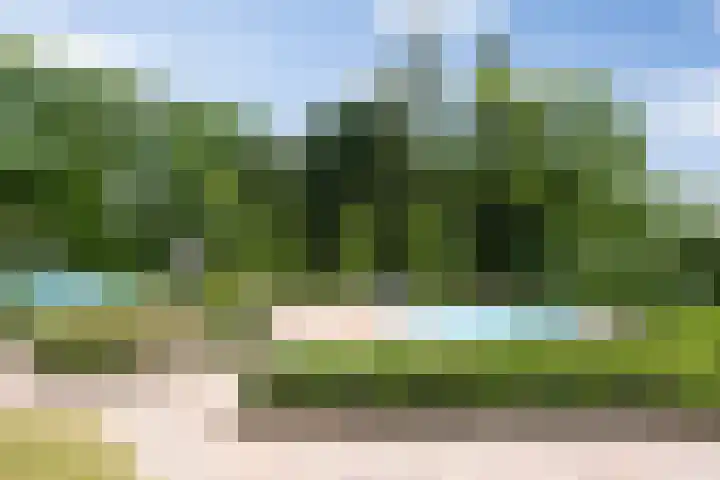 Dennendreef 5 266 Boxtel thumbnail 42