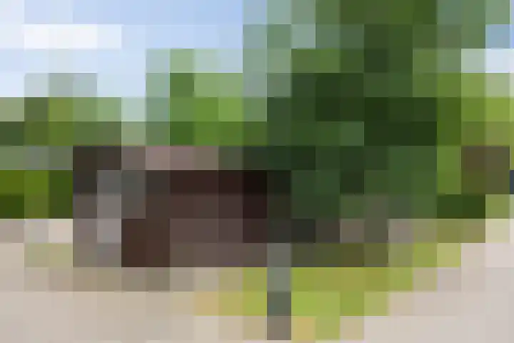 Dennendreef 5 266 Boxtel thumbnail 44