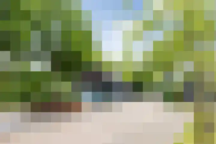 Dennendreef 5 266 Boxtel thumbnail 45