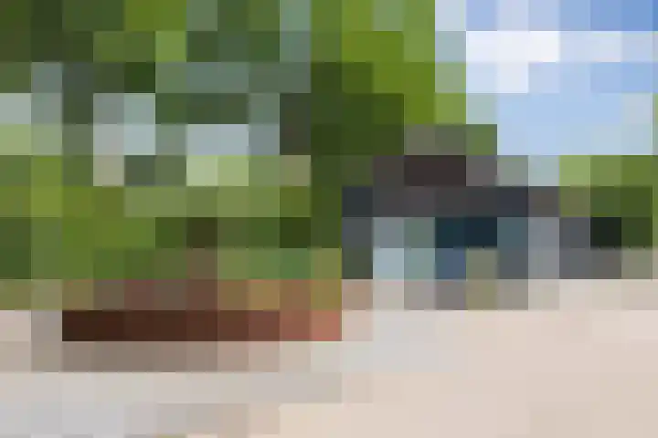 Dennendreef 5 266 Boxtel thumbnail 46