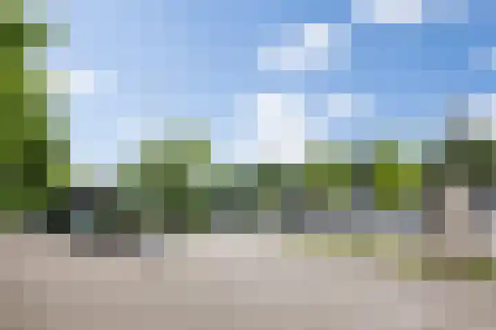 Dennendreef 5 266 Boxtel thumbnail 47