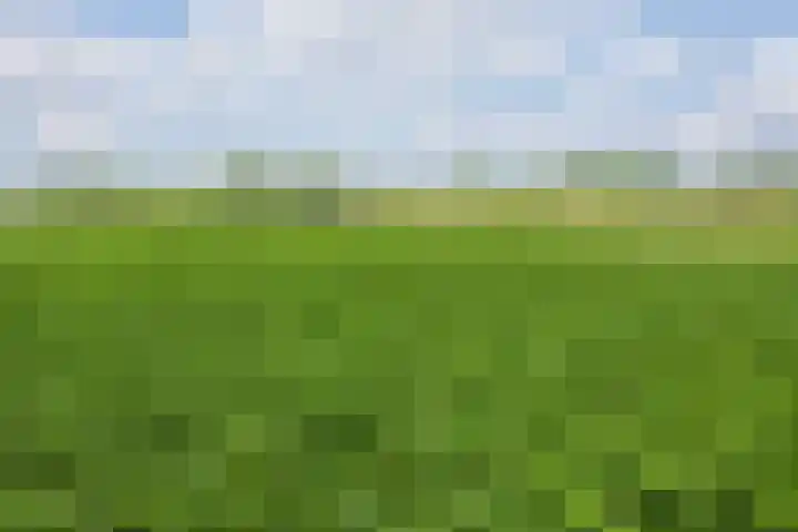 Dennendreef 5 266 Boxtel thumbnail 48