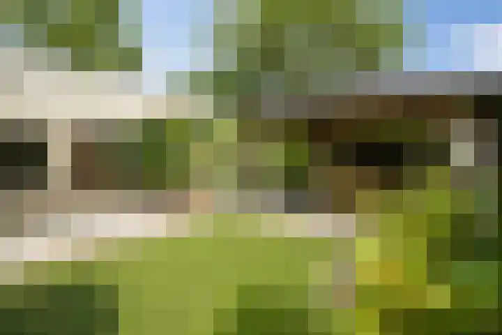Dennendreef 5 266 Boxtel thumbnail 5
