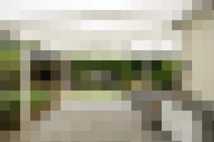 Dennendreef 5 266 Boxtel thumbnail 7