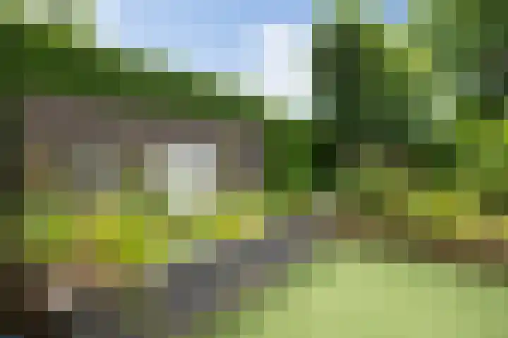 Dennendreef 5 266 Boxtel thumbnail 9