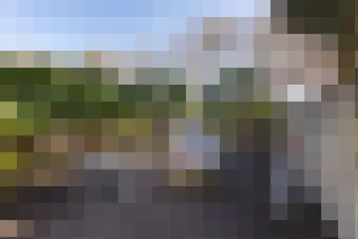 Dennenhage 11 Stadskanaal thumbnail 31