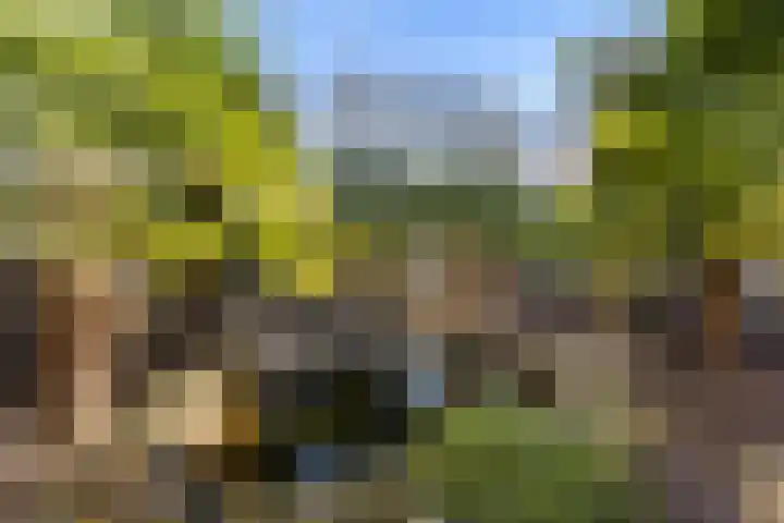 Dennenhage 11 Stadskanaal thumbnail 33