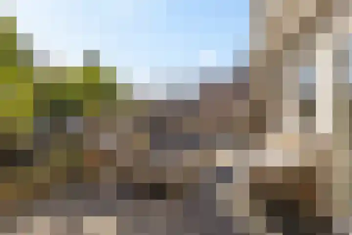 Dennenhage 11 Stadskanaal thumbnail 34