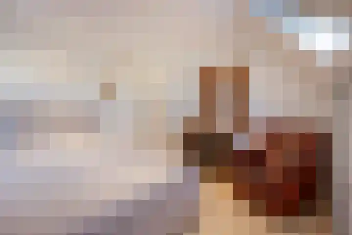 Dennenhei 26 Best thumbnail 25
