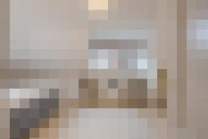 Dennenhei 26 Best thumbnail 28