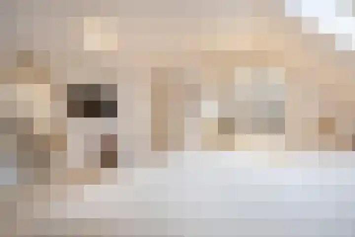 Dennenhei 26 Best thumbnail 29