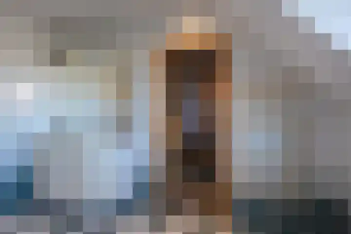 Dennenhei 26 Best thumbnail 34