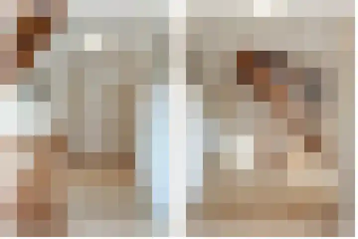 Dennenhei 26 Best thumbnail 37