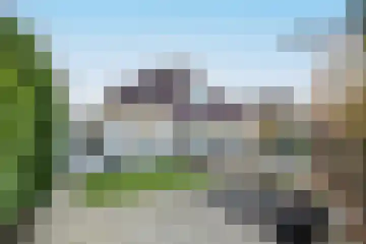 Dennenhei 26 Best thumbnail 40
