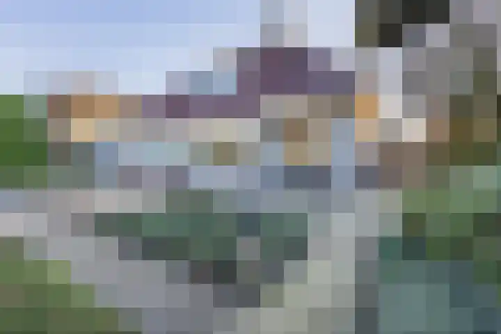 Dennenhei 26 Best thumbnail 41