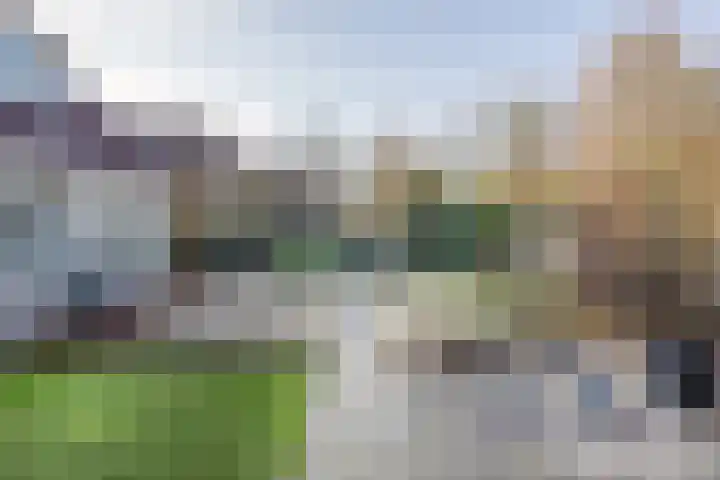 Dennenhei 26 Best thumbnail 43