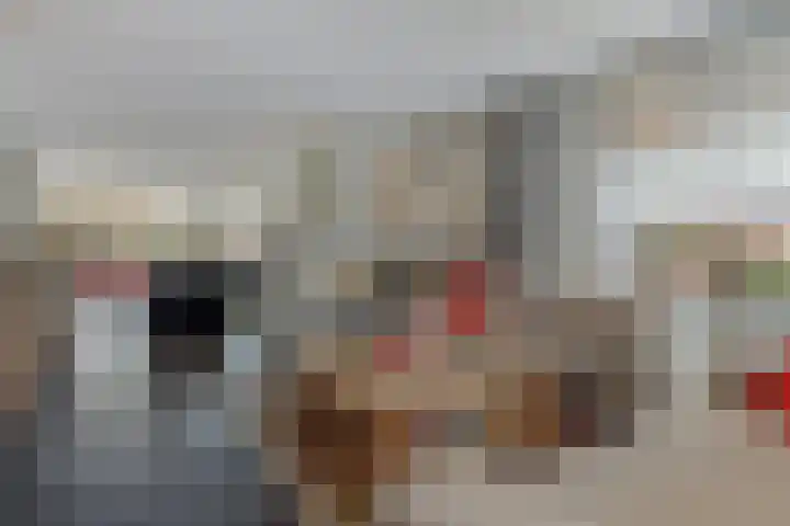Dennenhei 35 Best thumbnail 11