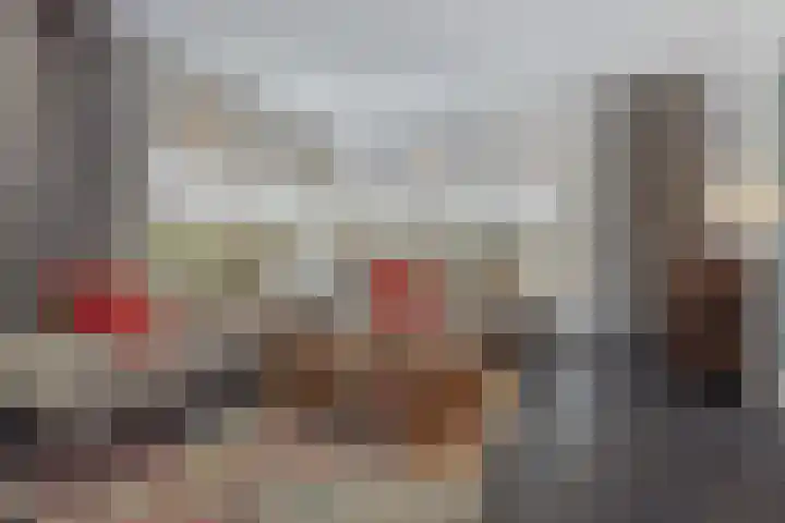 Dennenhei 35 Best thumbnail 12