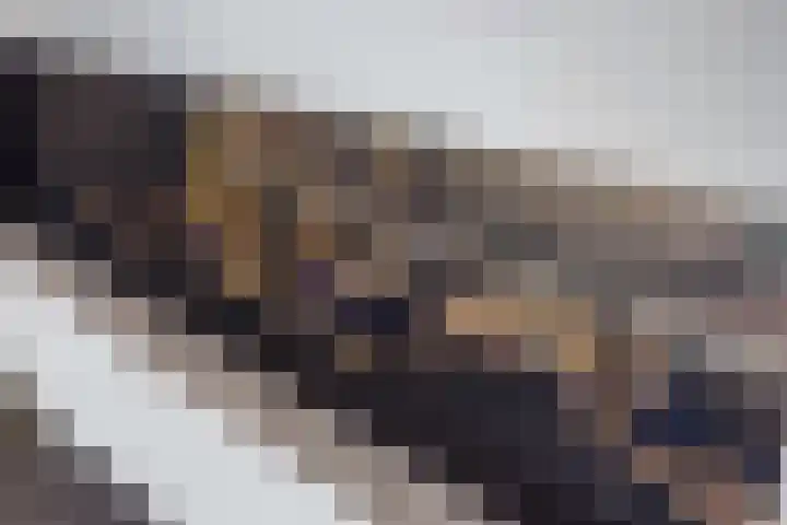 Dennenhei 35 Best thumbnail 13