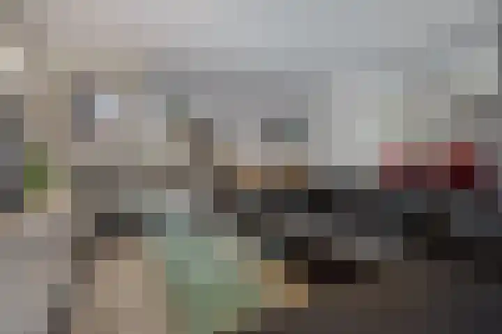 Dennenhei 35 Best thumbnail 15