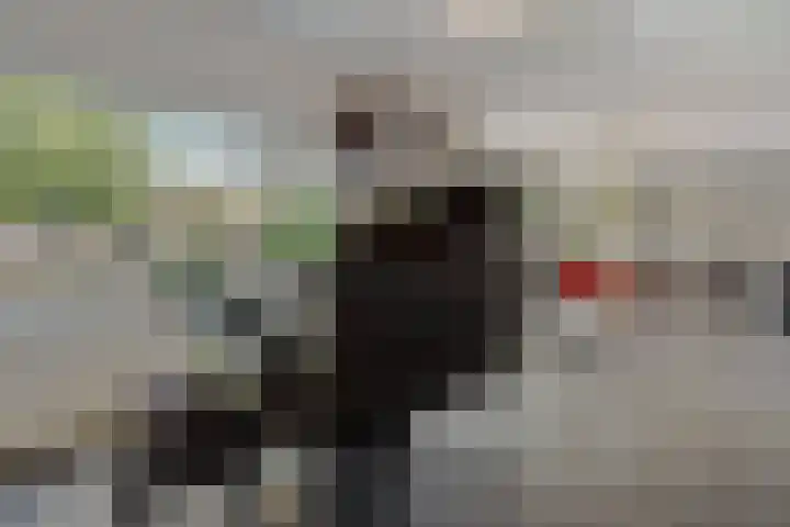 Dennenhei 35 Best thumbnail 18