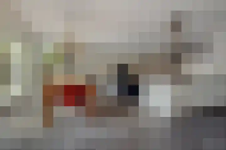Dennenhei 35 Best thumbnail 19