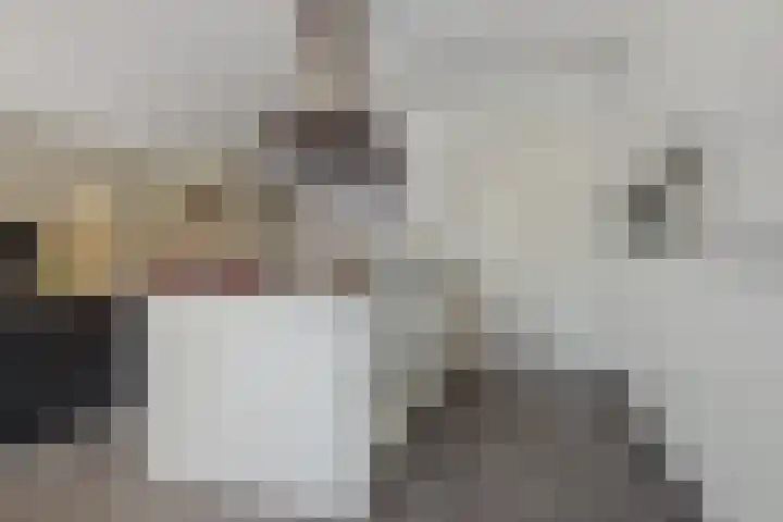 Dennenhei 35 Best thumbnail 20