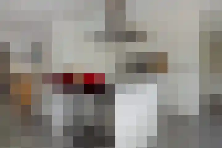 Dennenhei 35 Best thumbnail 23