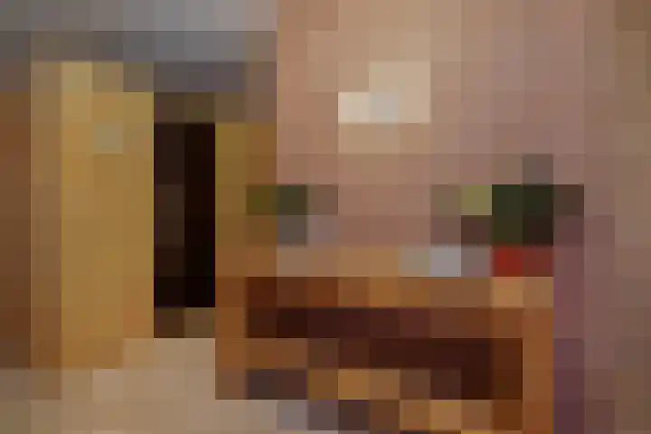 Dennenhei 35 Best thumbnail 29