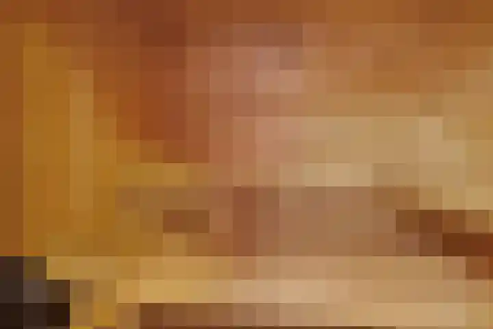 Dennenhei 35 Best thumbnail 30