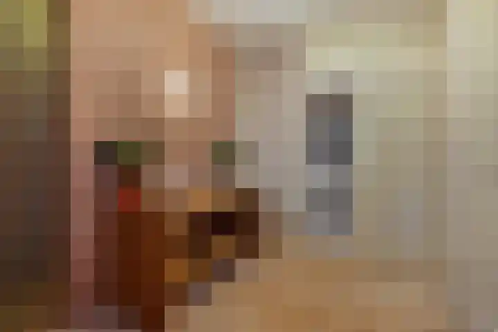 Dennenhei 35 Best thumbnail 31