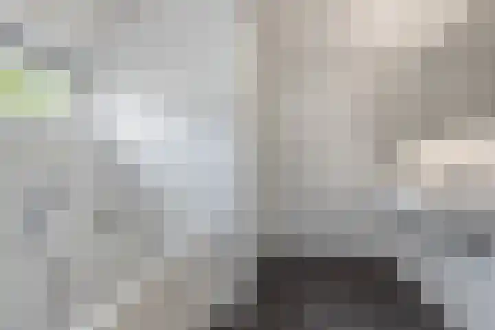 Dennenhei 35 Best thumbnail 41