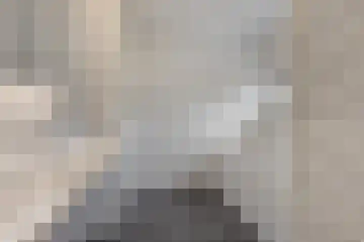 Dennenhei 35 Best thumbnail 42