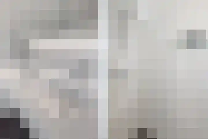 Dennenhei 35 Best thumbnail 43