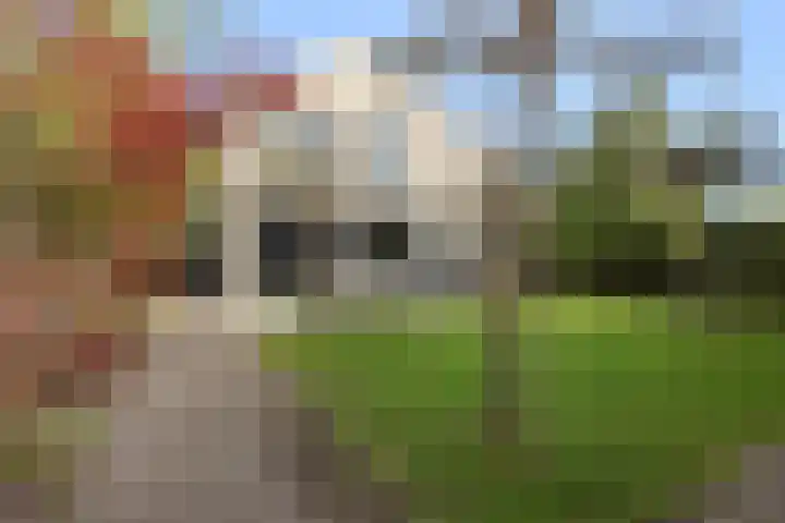 Dennenhei 35 Best thumbnail 46
