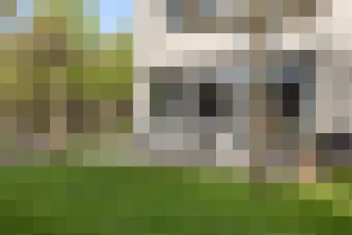 Dennenhei 35 Best thumbnail 48