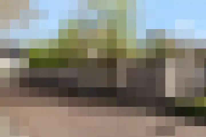 Dennenhei 35 Best thumbnail 49