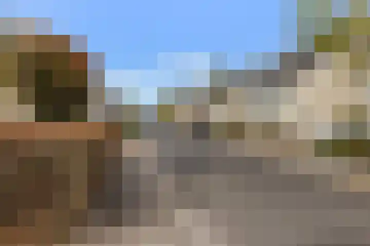 Dennenhei 35 Best thumbnail 53