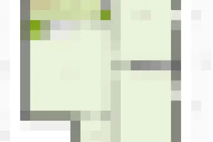 Dennenhei 35 Best thumbnail 56