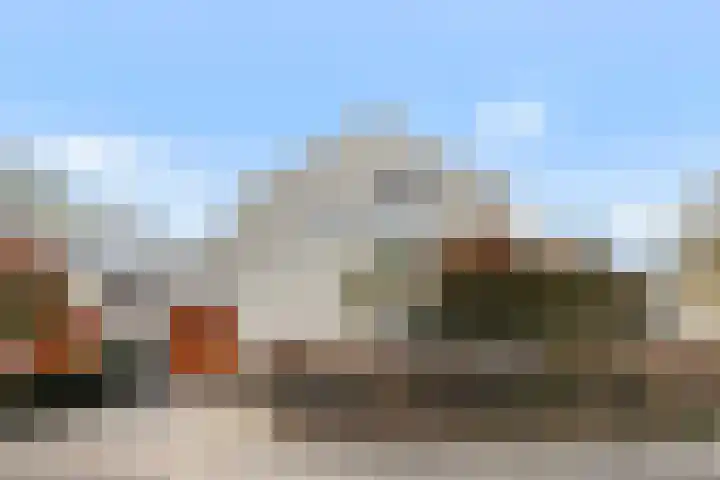 Dennenhei 35 Best thumbnail 6