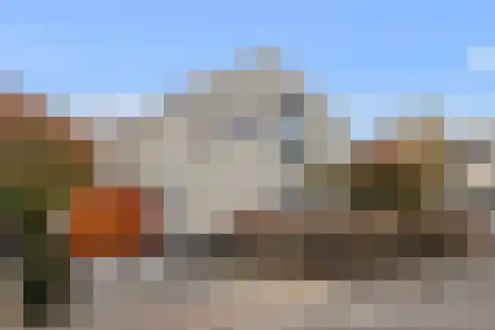 Dennenhei 35 Best thumbnail 60