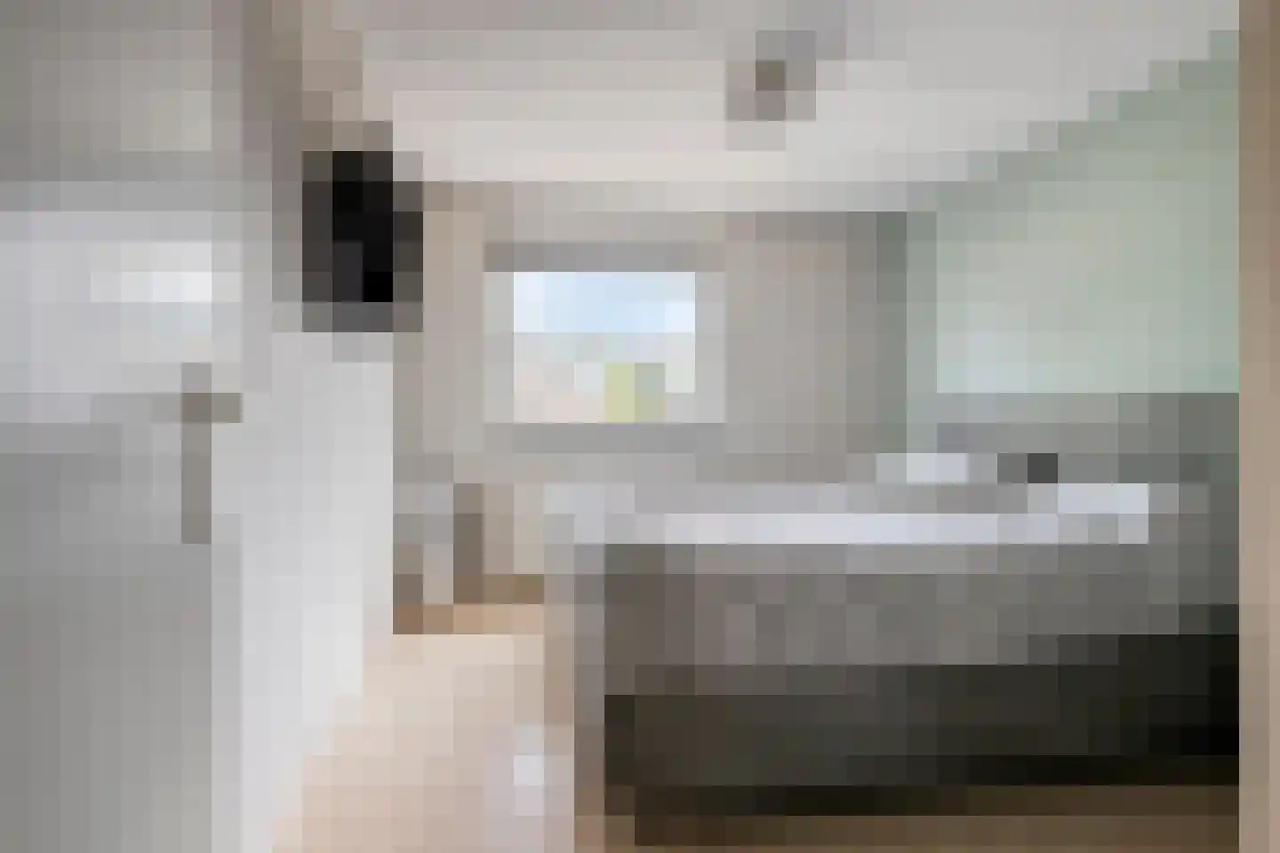 Dennenhei 40 Best thumbnail 16